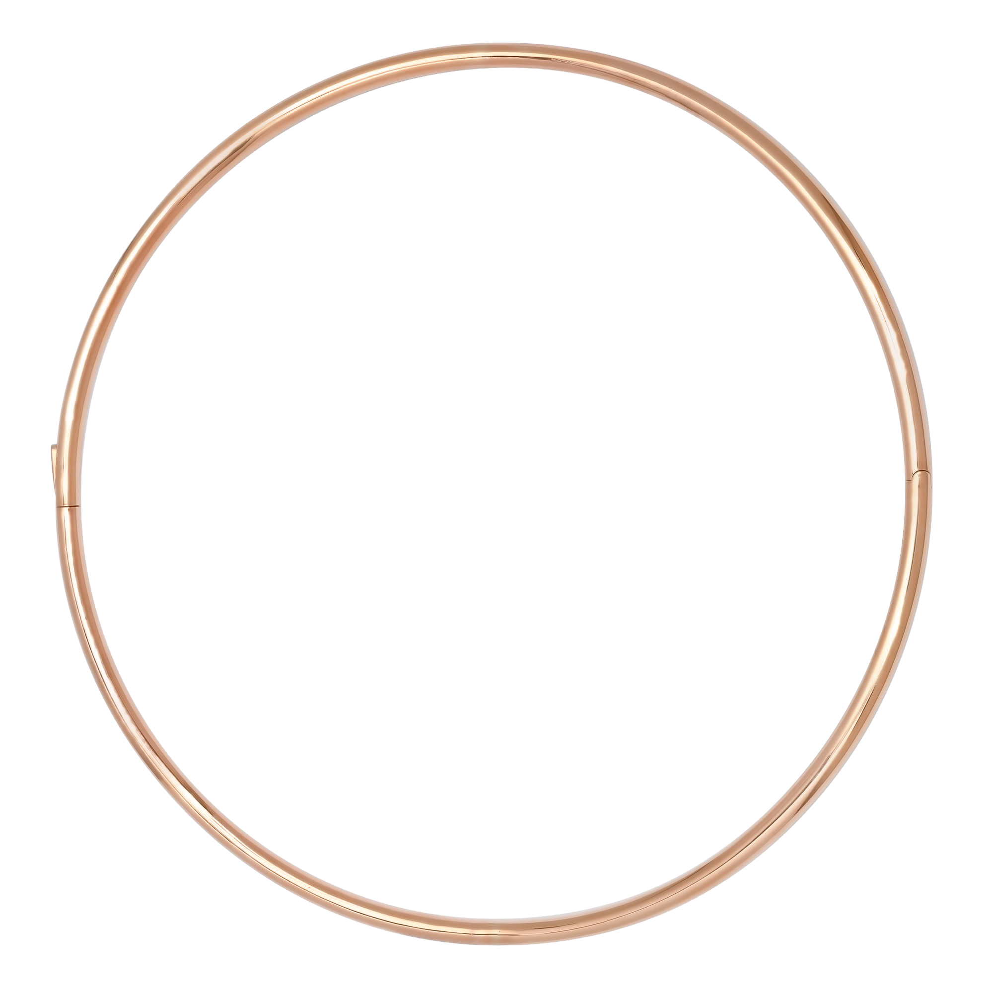 SW Gold Tube Choker