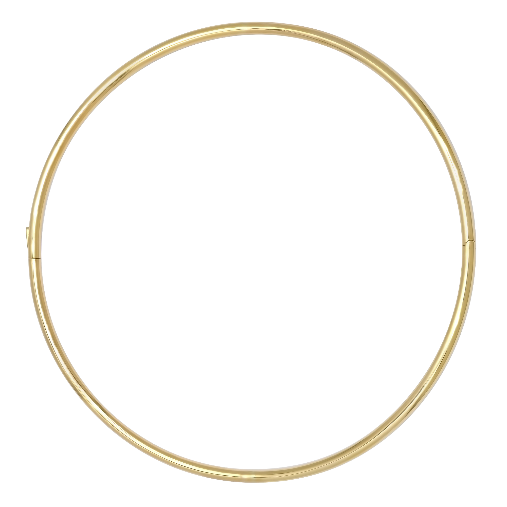 SW Gold Tube Choker