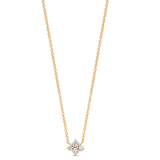 Dujour Diamond Cluster Necklace - Sara Weinstock Fine Jewelry